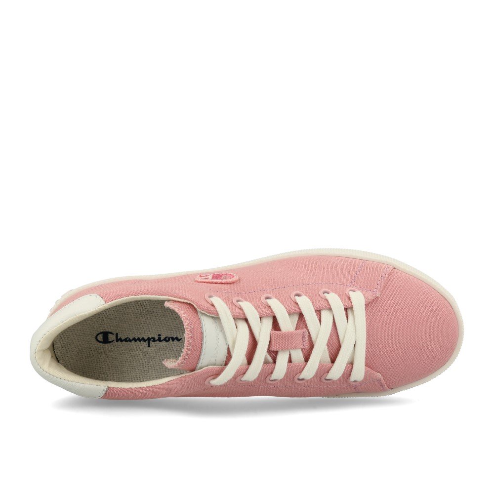 Champion Era Rose