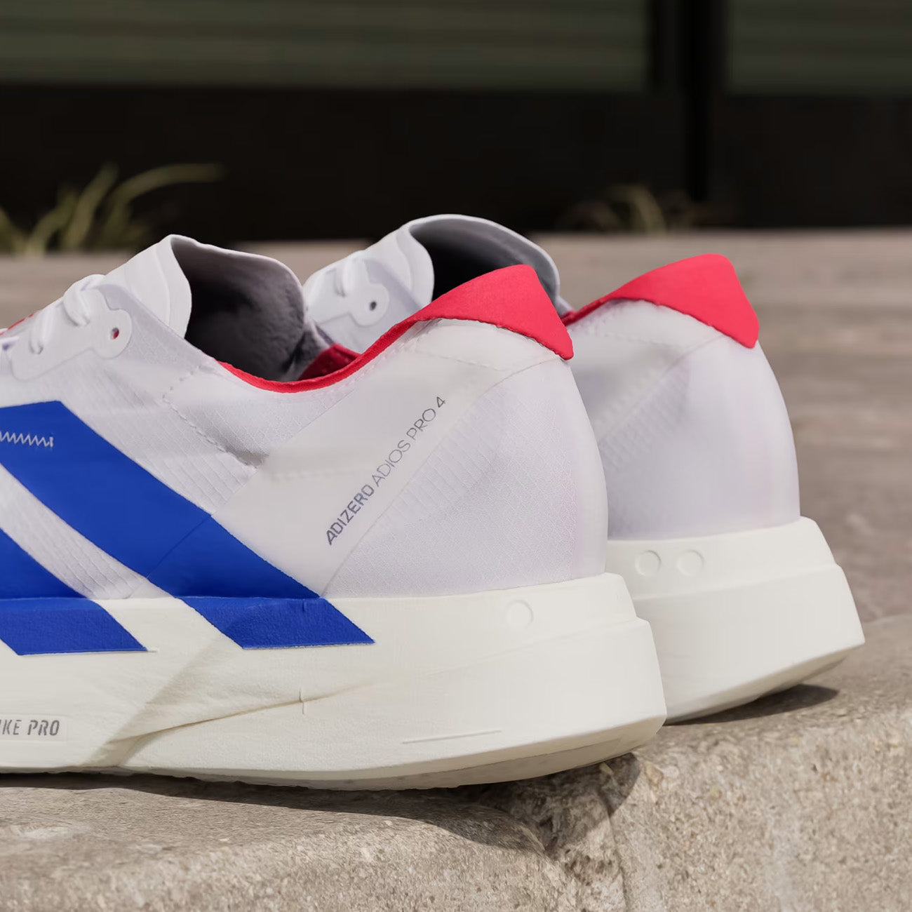 adidas Adizero Pro 4 M Herren Off White Royal Blue