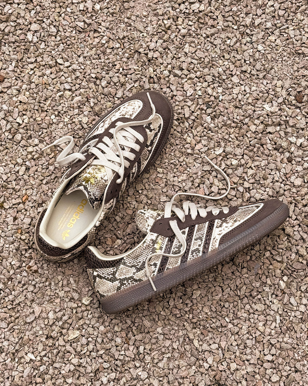 Adidas Samba OG *Snake*