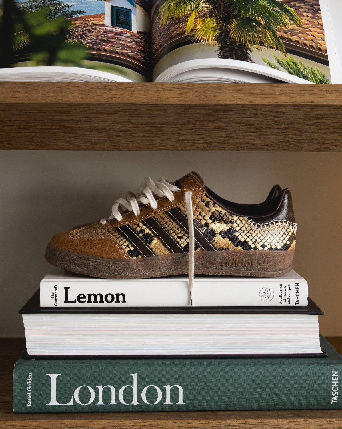 Adidas x Wales Bonner Gazelle *Snake*