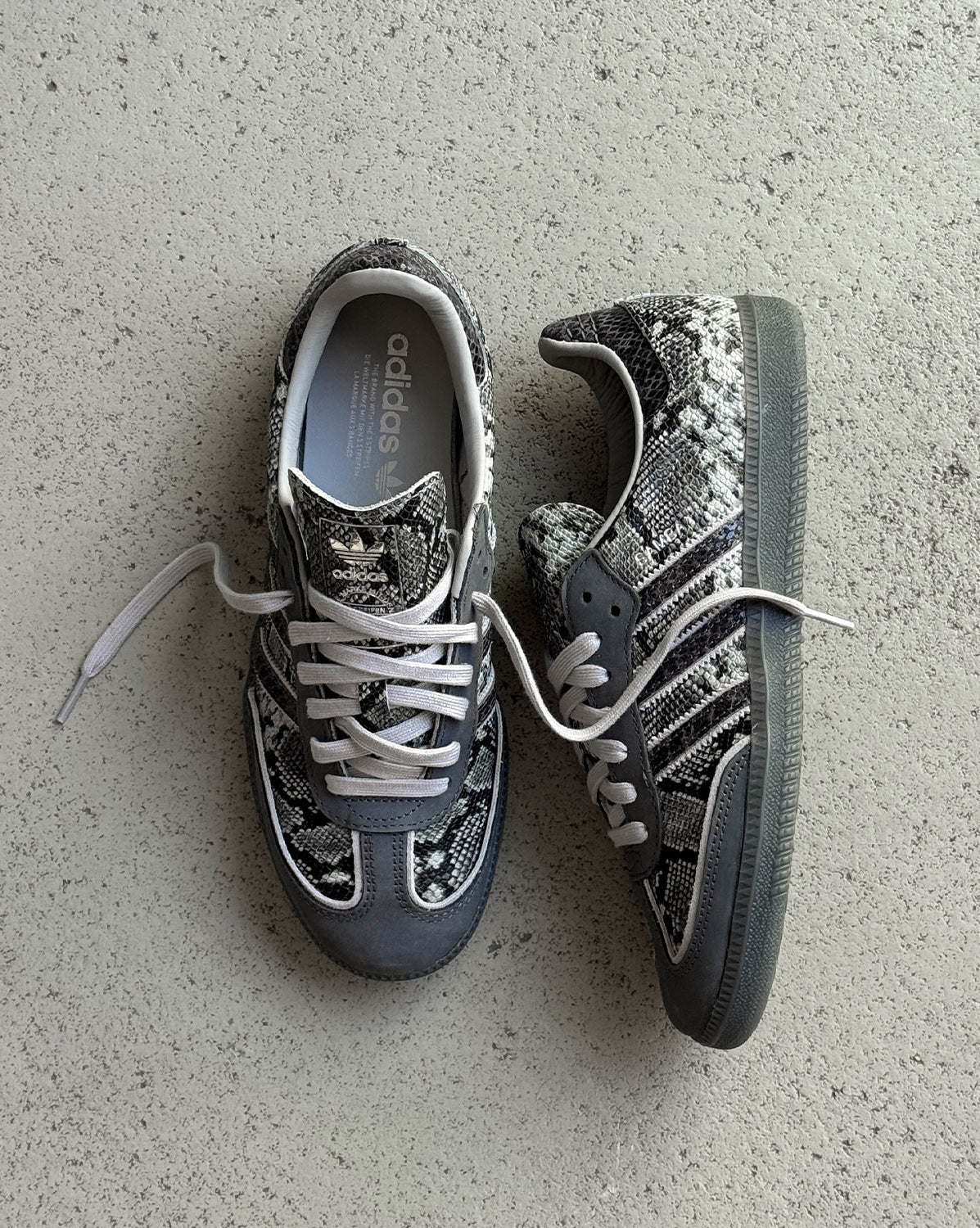 Adidas	Samba OG *Snake*