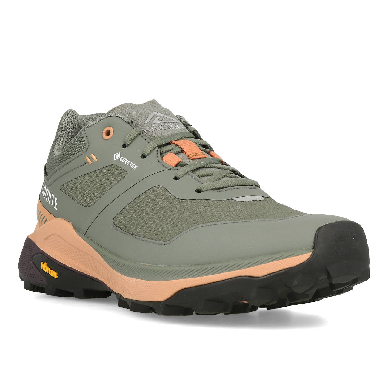 Dolomite Nibelia W`s GTX Damen Silver Green Sand Pink