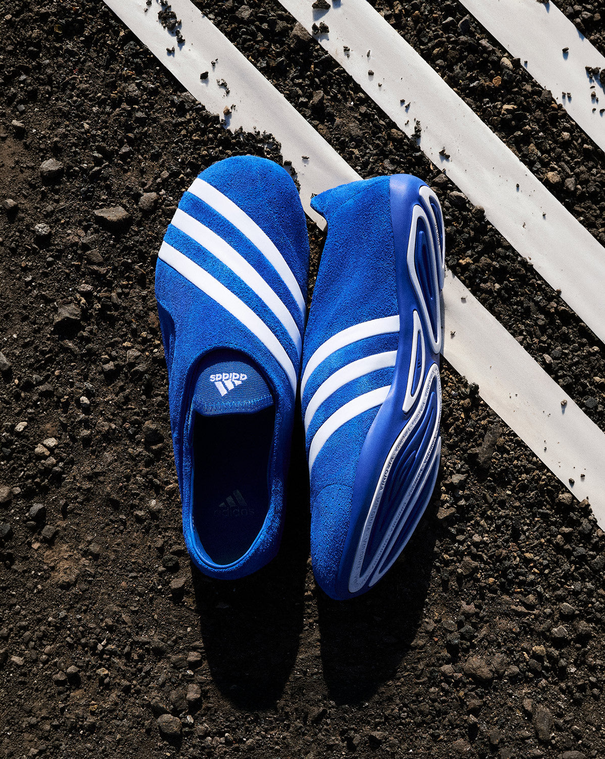 Adidas x Pharrell Williams Vario Flat Earther